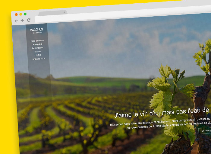 Site Vitrine Domaine Viticole